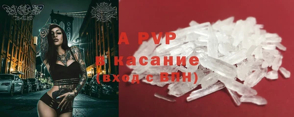 прущие грибы Верея