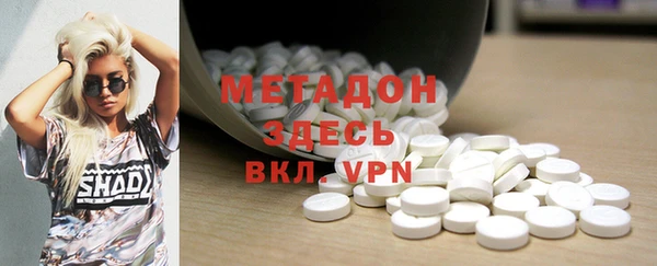 прущие грибы Верея