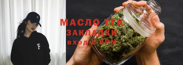 прущие грибы Верея