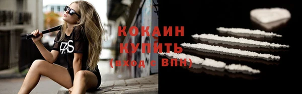прущие грибы Верея