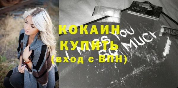 прущие грибы Верея