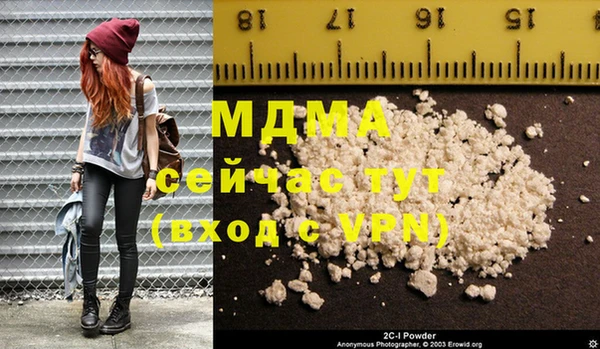 прущие грибы Верея