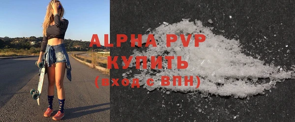 прущие грибы Верея