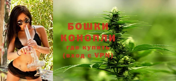прущие грибы Верея