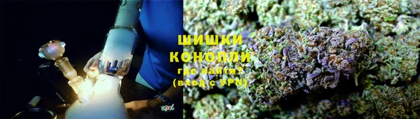 прущие грибы Верея