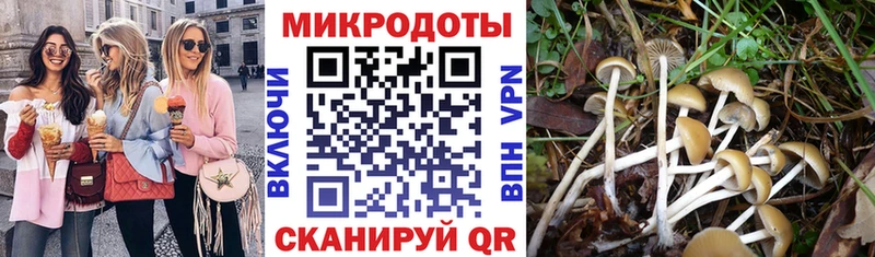 Галлюциногенные грибы мухоморы  Нарьян-Мар 